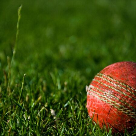 Cricket Sportwetten: Funktionen, Tipps und Strategien